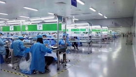 大量工厂招工,有几十条招工信息,看看有没有你合适的,全部真实